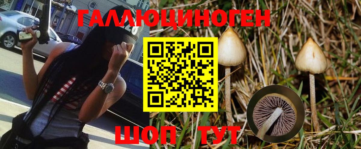 Галлюциногенные грибы Psilocybe  Псилоцибиновые грибы мицелий  Вход с VPN  Астрахань 